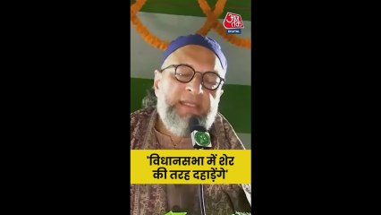 'बिहार में हमारे पांचों विधायक शेर की तरह...', बोले ओवैसी