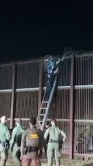 Illegal migrant caught tangled in razor wire while trying to scale US border fence