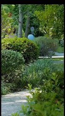 Stay-at-Home Dad Levels Up Full Movie