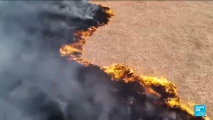 Forte pollution de l'air en Inde : activités extérieures annulées à New Delhi