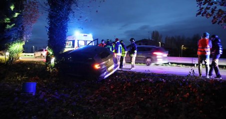 Ferrara, perde il controllo dell'auto e finisce contro un platano