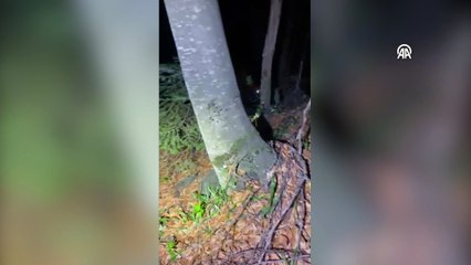 Bursa\'da kâbusu yaşadılar! AFAD kurtardı