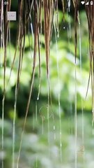 The Widow's Double Trouble (2025) - Full Movie