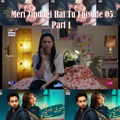 Meri Zindagi Hai Tu Episode 05 Part 1 #merizindagihaitu #merizindagitu #sanwalyaarpiya #dramashorts #pakistanidrama