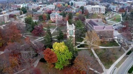 LOBO EM PELE DE CORDEIRO - O M3DICO P3DÓFILO - T01EP01 - ID