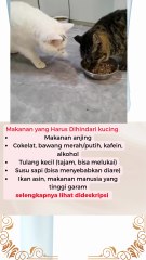 Makanan yang Harus Dihindari kucing