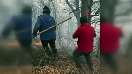 İran’dan orman yangınlarıyla mücadelede yardım talebi: Türkiye 2 uçak gönderiyor