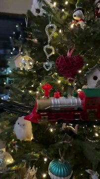 Σπυροπούλου: Στόλισε το χριστουγεννιάτικο δέντρο της–Το εντυπωσιακό τρενάκι που έκλεψε την παράσταση