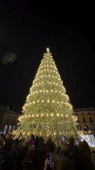 Inauguração das Luzes de Natal em Lisboa