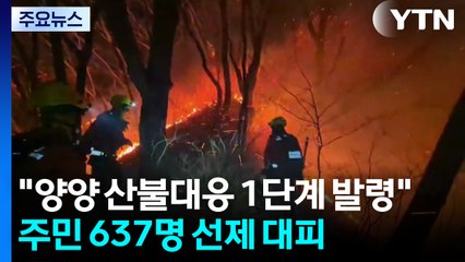 양양 산불 확대에 "대응 1단계 발령"...주민 637명 선제 대피 / YTN