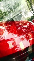 Oops I’m Not a Murphy  Full Movies English Sub