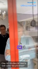 francesca cirone story