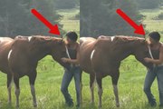 Video shows the wonderful bond between a horse and its owner