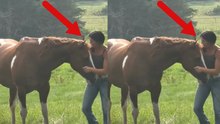 Video shows the wonderful bond between a horse and its owner