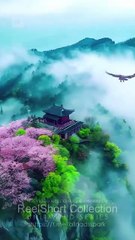 Why Work Hard When Heaven Sends You A Miracle Son?