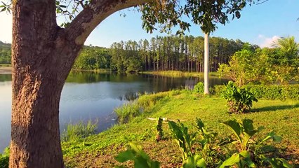 Visite de la maison de Polo Montañez à Las Terrazas (Cuba) 🇨🇺