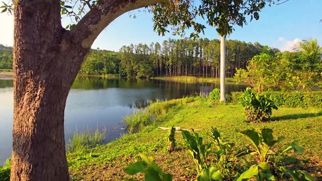 Visite de la maison de Polo Montañez à Las Terrazas (Cuba) 🇨🇺