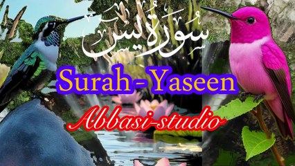 ‎وره يسين كى تلاوت | دل كو سكون  ‎دينى والى مكمل سوره Quran Recitation