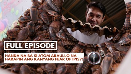 'Ipis What It Is,' dokyumentaryo ni Atom Araullo (Full Episode) | I-Witness