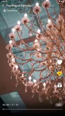 The Rouge Alpha | Full Movie HD - Best Drama ShortFilms Hot