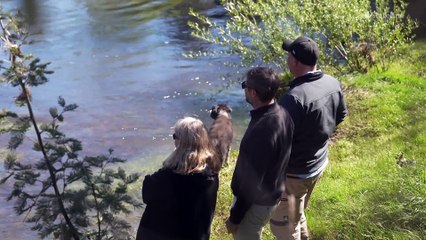 Launceston prepares for more environmental risks finding new ways to protect the city