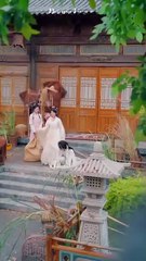 scorned beauty desperate men chinese drama