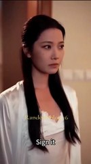 sleepless protector chinese drama