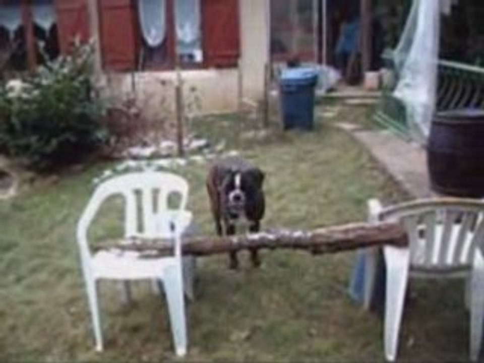 Thor obstacle