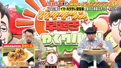 バナナマンの早起きせっかくグルメ!!2025年日11月22日 全イカ・ホタテ愛好家に捧ぐ極上グルメSP！