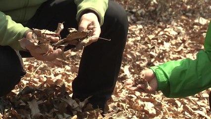 [날씨] 동해안 대기 건조 '화재 주의'...낮 동안 온화한 늦가을 / YTN