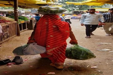 swm: कागजों तक सिमटी कार्रवाई, हर गली में पॉलीथिन का जहर