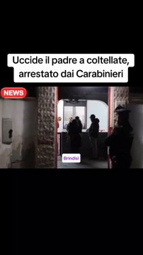 Uccide il padre a coltellate, arrestato dai Carabinieri#brindisi #puglia #ansa #tg #cronaca #giallo #tiktoknews #daytime #news