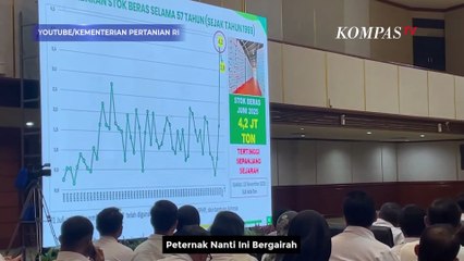 Mentan Amran Cerita Ditelepon Prabowo Malam-Malam, Bahas Harga Ayam dan Telur