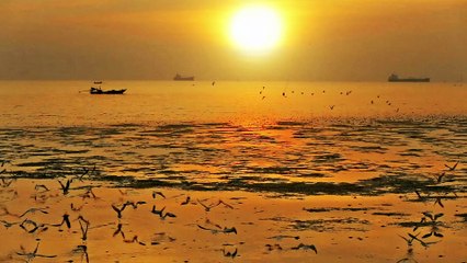 Stress-Free Sunset Vibes | Calming Beach Music for Deep Relaxation