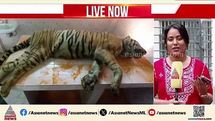 തൃശ്ശൂർ മൃഗശാലയിൽ 25 വയസ്സുള്ള കടുവ ചത്തു