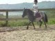Moi + Diva ex° trot->galop (2)