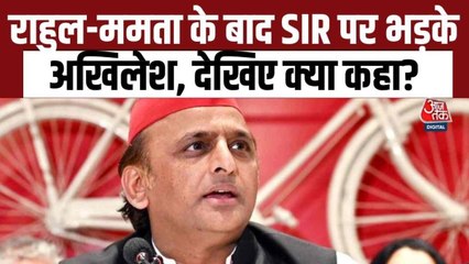 'SIR का बहाने काटे जा रहे 50 हजार से ज्यादा वोट', अखिलेश यादव का बड़ा आरोप