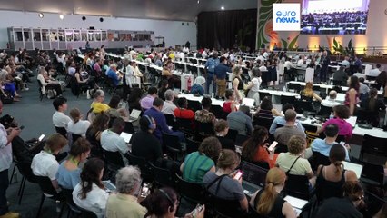 COP30 : un nouvel accord conclu, mais sans feuille de route pour les énergies fossiles