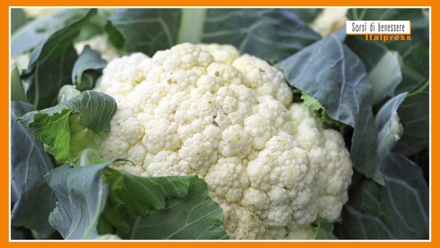 Sorsi di Benessere - Un pesto di cavolfiore salutare e pratico