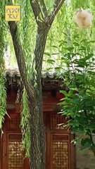 FOUR AND FEARLESS CHEFS, BEWARE