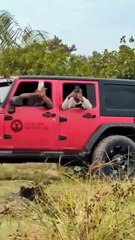 Funny Safari Park Lion