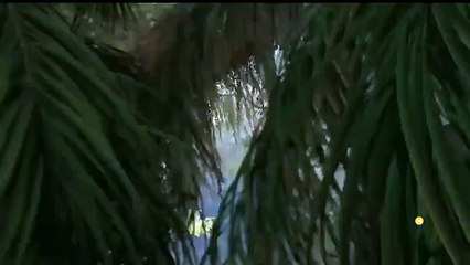 Supervivientes 2025 conexion honduras 6