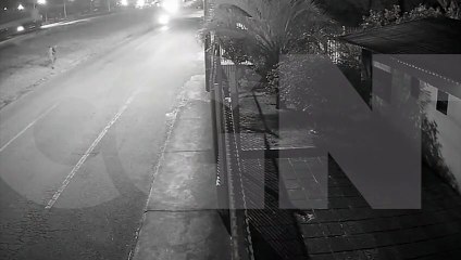 Câmera flagra atropelamento na marginal da BR-277 em Cascavel