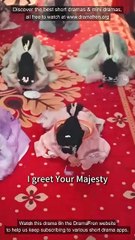 Accidentally Seducing the Emperor - FULL MOVIES ENGLISH SUB