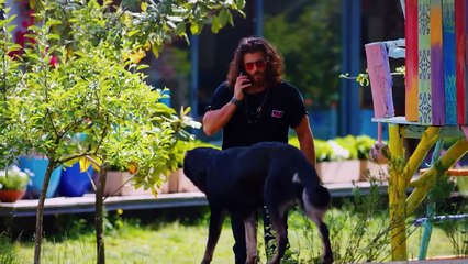 Pájaro Soñador Capítulo 137 (Doblado En Español 4K)