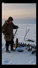 He caught a beautiful fish #Surviving in cold #survive in harsh weather#survival