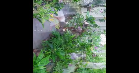 น้ำผึ้งขม ตอนที่ 17 EP.17 วันที่ 24 พฤศจิกายน 2568