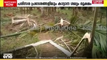 പാലക്കാട് കല്ലടിക്കോട് കാട്ടാന ആക്രമണത്തിൽ വ്യാപക കൃഷി നാശം
