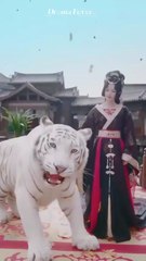 scorned beauty desperate men chinese drama