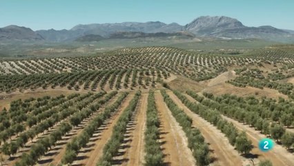 Baeza: Descubre Este Encanto Histórico